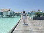 1.IMG_1950z