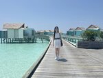 1.IMG_1955z
