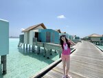 2.IMG_1977a