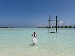 1.IMG_1463a