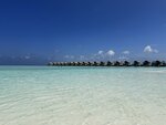 1.IMG_1467a