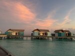 IMG_1199