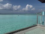 IMG_1174