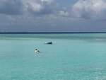 IMG_1175