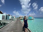 3.IMG_1146a