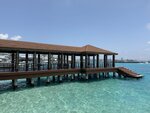 IMG_0819a