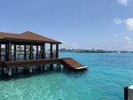IMG_0820a