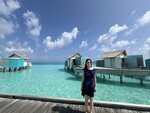 1.IMG_1150a