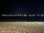 12.IMG_1270