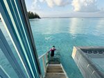 1.IMG_1694