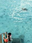 1.IMG_1705