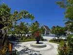 1.IMG_2542a