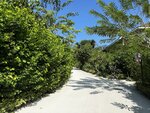3.IMG_2510a