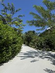 3.IMG_2511a