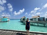 1.IMG_1150a1