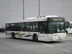 IMG_6626