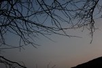 DSC_6114a