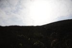 DSC_5085