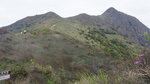 DSC02075