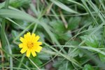 IMG_0021