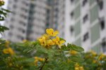IMG_0039