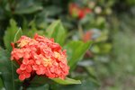 IMG_0041