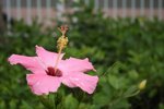 IMG_0044