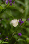 05DSC_9976-02