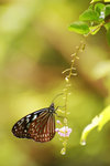 12DSC_0086-02