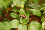 14DSC_0098-02