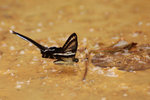 22DSC_0160-02