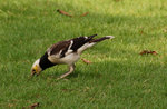 26DSC_0192-02
