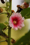 27DSC_0215-02