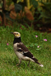 32DSC_0287-02