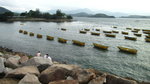大尾督20090621-01
