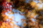 IMG_0369