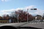 IMG_9353
