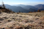 IMG_9562