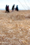 IMG_9736
