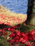 IMG_9880