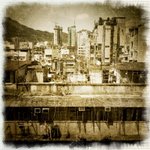 IMG_1949