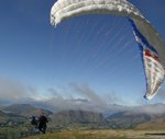 NZ_WEB 0049