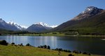 NZ_WEB 0063