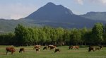 2007 Jun Lijiang 02