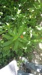 DSC03578