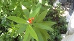 DSC03580