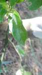 DSC03618