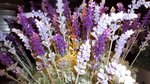 SAM_1514