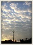 IMG_0976