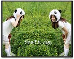 nEO_IMG_pm6